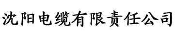 神马理论片在线电缆厂logo